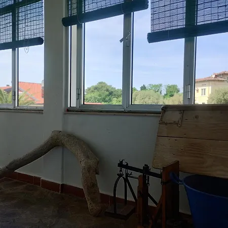 Apartmán Pri Milanu *